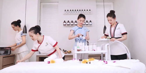 規范職業標準，助力行業提升——美容師國家職業等級認定教材技術和服務標準拍攝工作圓滿完成